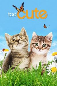 �ȳ�ɳ��� ��һ��