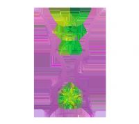 �������ޱ� ����vs�����20250810