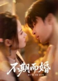 ���ڶ���