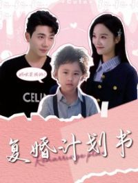 ����ƻ���